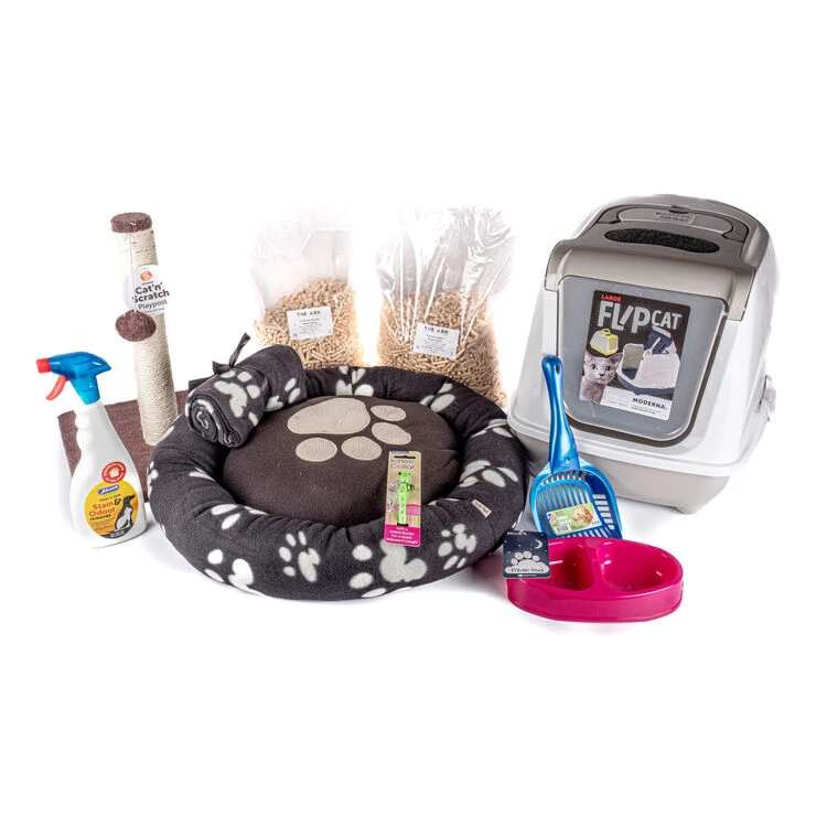 The Pet Express Cat And Kitten Starter Kit 4 The Pet Express Cat And Kitten Starter Kit - Image 2