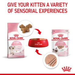 ROYAL CANIN® Kitten In Loaf Wet Food 19 ROYAL CANIN® Kitten In Loaf Wet Food -PetJoy Shop tkfdniuo5y3duqezn5ji