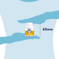 Dorwest Turmeric Tablets -PetJoy Shop tm100 pt12