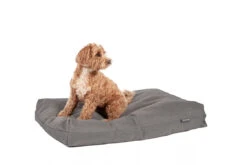 Danish Design Antibacterial Dog Bed In Grey