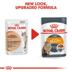ROYAL CANIN® Intense Beauty Care In Gravy Adult Wet Cat Food -PetJoy Shop two5zg807ehk160alyc3