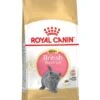 ROYAL CANIN® British Shorthair Kitten Dry Food
