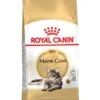 ROYAL CANIN® Maine Coon Adult Dry Cat Food 2 ROYAL CANIN® Maine Coon Adult Dry Cat Food -PetJoy Shop vazqjj8eudnhkucxtfcg
