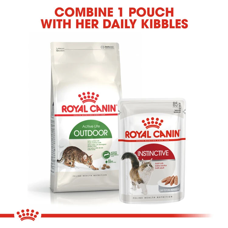 ROYAL CANIN® Outdoor Active Adult Dry Cat Food 8 ROYAL CANIN® Outdoor Active Adult Dry Cat Food - Image 6
