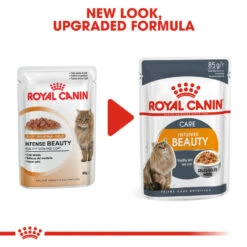 ROYAL CANIN® Intense Beauty Care In Jelly Adult Wet Cat Food -PetJoy Shop vwx4erhualbjt8tsah1v