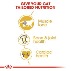 ROYAL CANIN® British Shorthair Adult Dry Cat Food 16 ROYAL CANIN® British Shorthair Adult Dry Cat Food -PetJoy Shop vz8hd2swdultpdvjnola