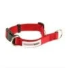 Great&Small Doodley Dogs Red Plain Nylon Collar -PetJoy Shop wee 6