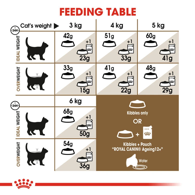 ROYAL CANIN® Senior Ageing 12+ Adult Dry Cat Food 7 ROYAL CANIN® Senior Ageing 12+ Adult Dry Cat Food - Image 5