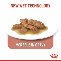 ROYAL CANIN® Indoor Sterilised 7+ In Gravy Adult Wet Cat Food 16 ROYAL CANIN® Indoor Sterilised 7+ In Gravy Adult Wet Cat Food -PetJoy Shop wnfzisiupourxatc9i6a