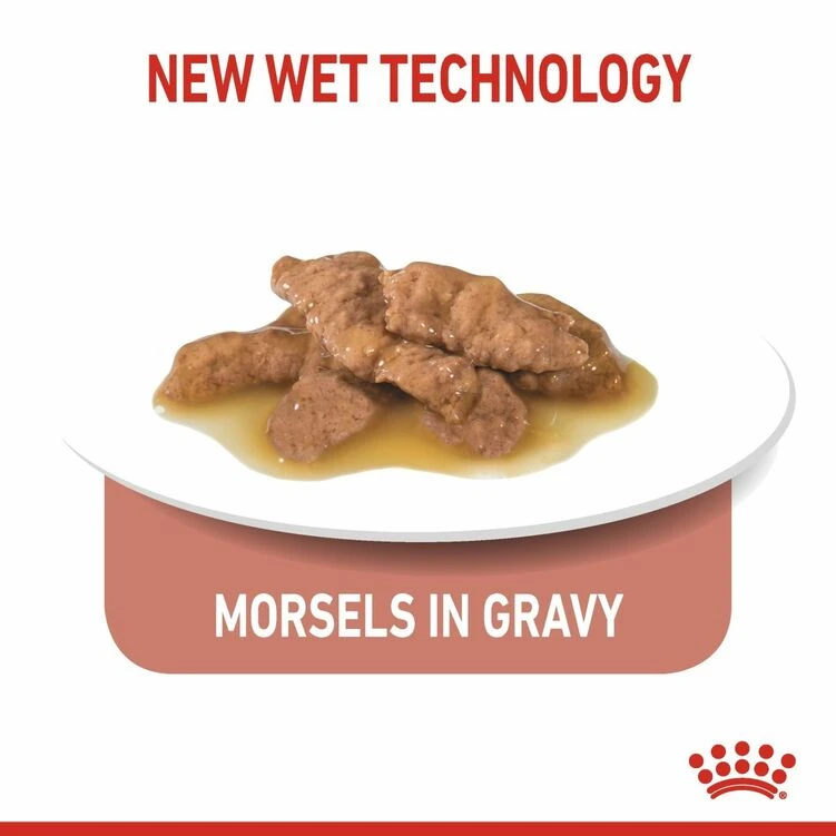 ROYAL CANIN® Indoor Sterilised 7+ In Gravy Adult Wet Cat Food 8 ROYAL CANIN® Indoor Sterilised 7+ In Gravy Adult Wet Cat Food - Image 6