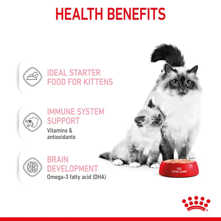 ROYAL CANIN® Mother And Babycat Adult And Kitten Wet Food 8 ROYAL CANIN® Mother And Babycat Adult And Kitten Wet Food - Image 6