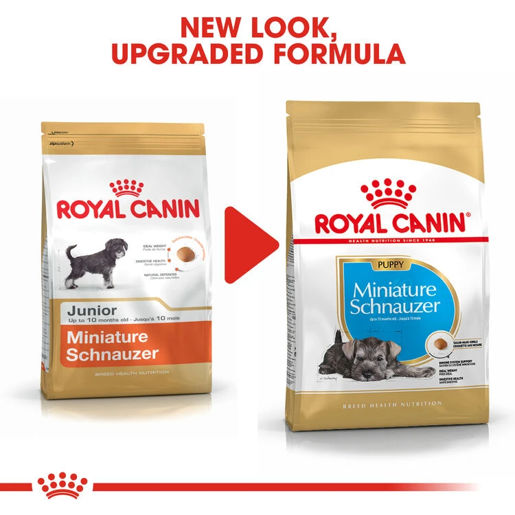 ROYAL CANIN® Miniature Schnauzer Puppy Dry Food 10 ROYAL CANIN® Miniature Schnauzer Puppy Dry Food - Image 8
