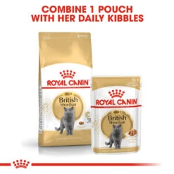 ROYAL CANIN® British Shorthair In Gravy Adult Wet Cat Food -PetJoy Shop xacvcwggdklq9u1votgp