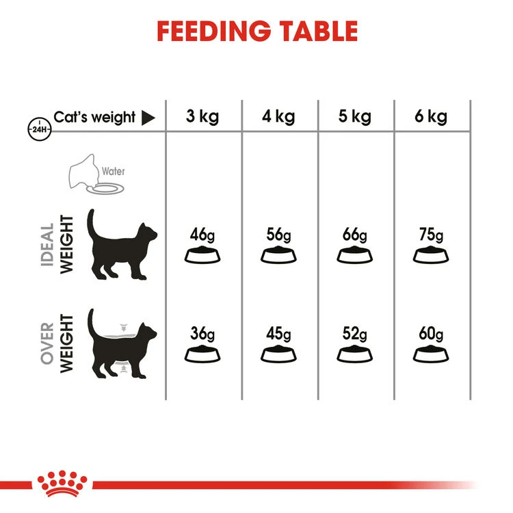 ROYAL CANIN® Oral Care Adult Dry Cat Food 7 ROYAL CANIN® Oral Care Adult Dry Cat Food - Image 5