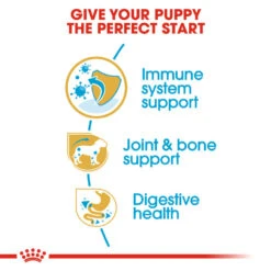 ROYAL CANIN® Dachshund Puppy Dry Food 15 ROYAL CANIN® Dachshund Puppy Dry Food -PetJoy Shop y7xdrg5ihpemnitaxwxo