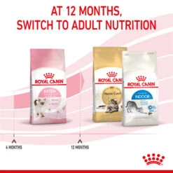 ROYAL CANIN® Kitten Dry Food -PetJoy Shop ywxjftes4zehzjvaxevi