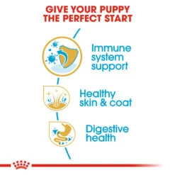 ROYAL CANIN® Shih Tzu Puppy Dry Food -PetJoy Shop yxvoygalevkcpixmpqr3