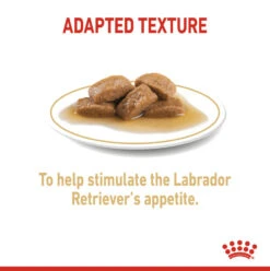 ROYAL CANIN® Labrador Retriever Adult In Gravy Wet Dog Food -PetJoy Shop zfgyt6not7ckardn3gsb