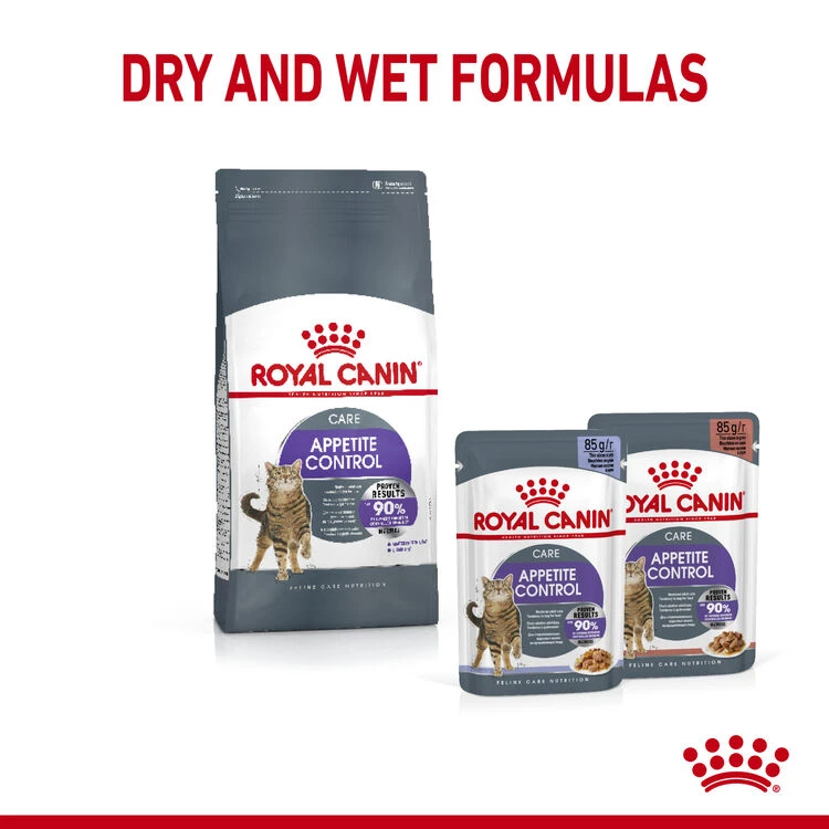 ROYAL CANIN® Appetite Control Care In Jelly Adult Wet Cat Food 9 ROYAL CANIN® Appetite Control Care In Jelly Adult Wet Cat Food - Image 7