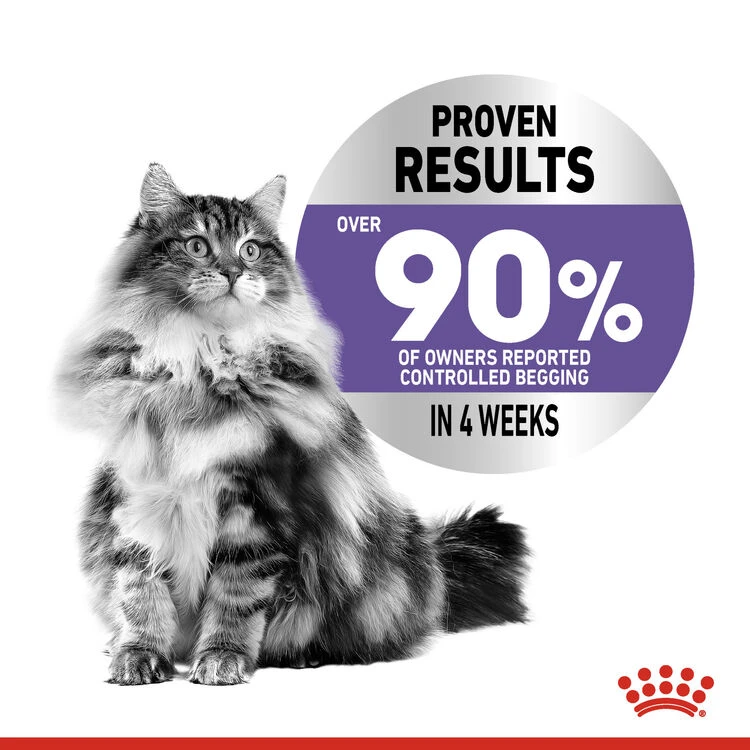ROYAL CANIN® Appetite Control Care In Jelly Adult Wet Cat Food 7 ROYAL CANIN® Appetite Control Care In Jelly Adult Wet Cat Food - Image 5