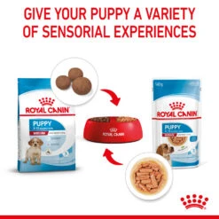 ROYAL CANIN® Medium Puppy In Gravy Wet Food -PetJoy Shop zzv8j7dtajircbrozx0a