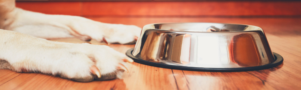 Front Page -PetJoy Shop banner942